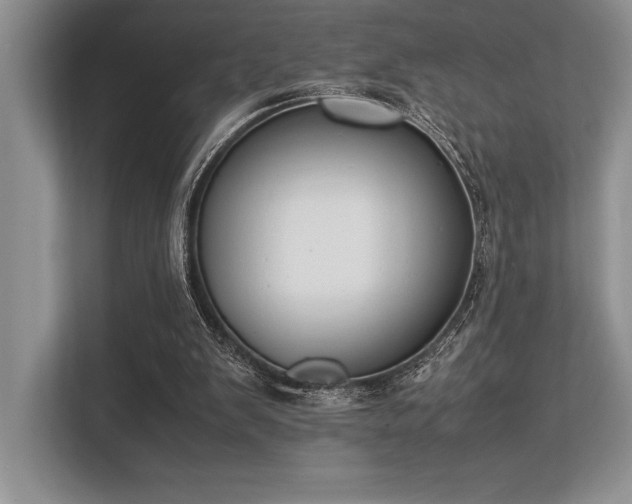X0000113350103200909221152