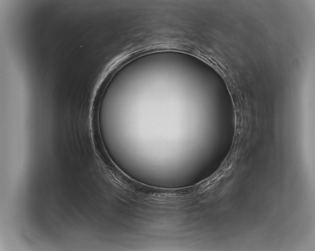 X0000113350104200909221152