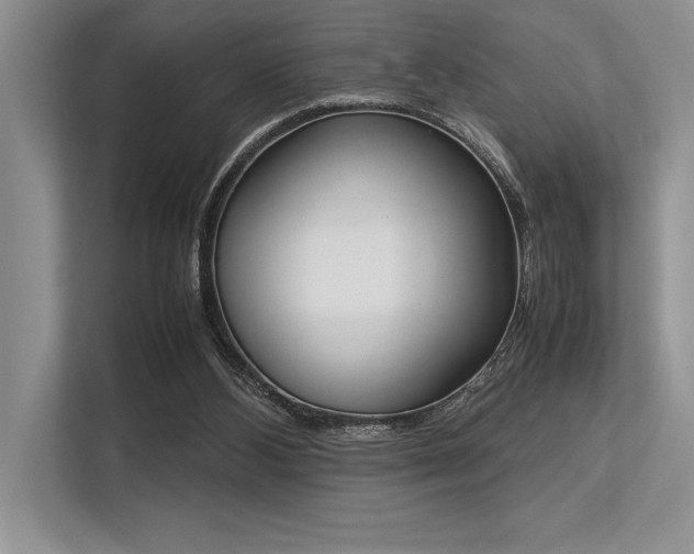 X0000113350108200909221152