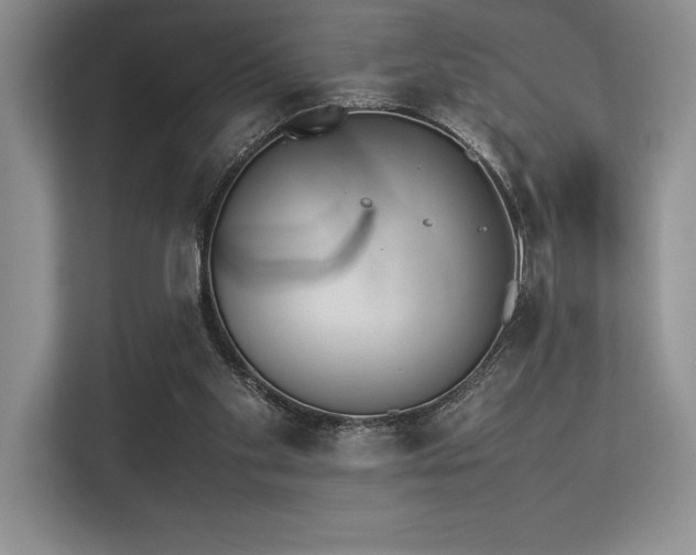 X0000113350109200909221152