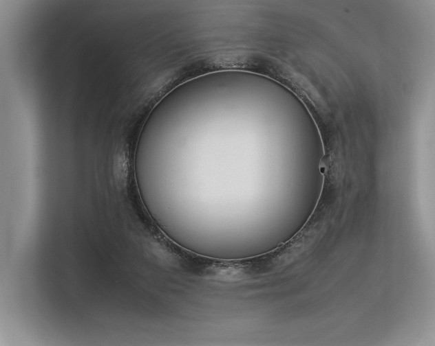 X0000113350113200909221152