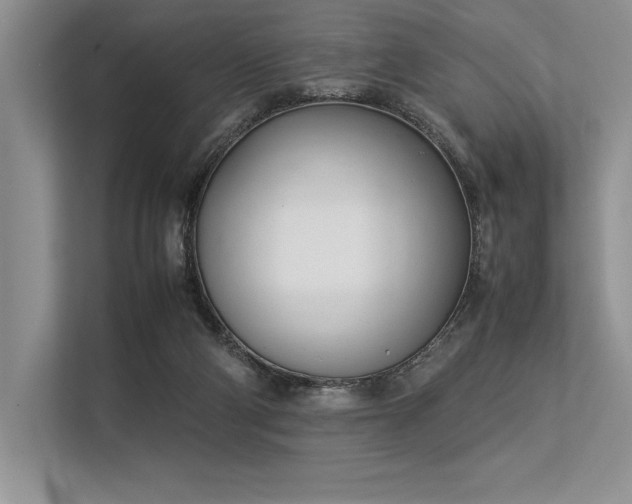 X0000113350114200909221152