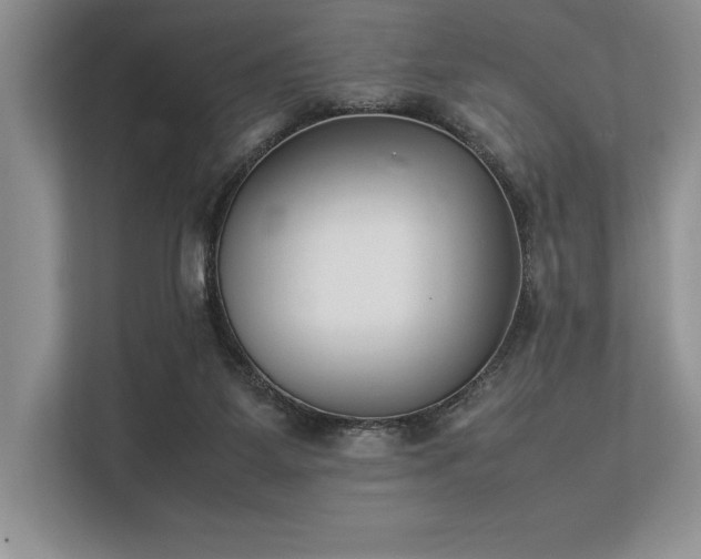 X0000113350115200909221152