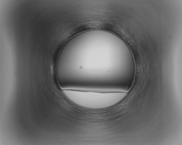 X0000113350117200909221152