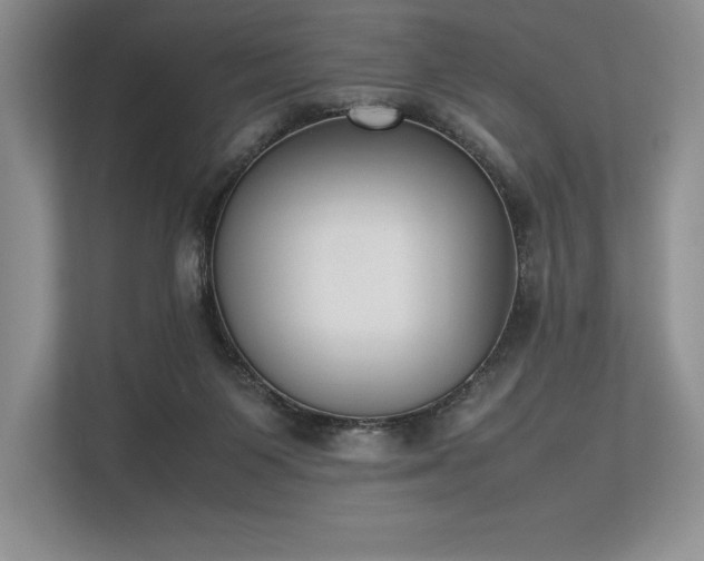 X0000113350119200909221152