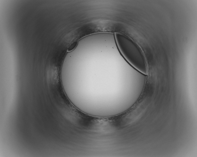 X0000113350121200909221152