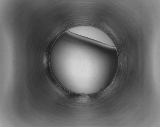 X0000113350124200909221152