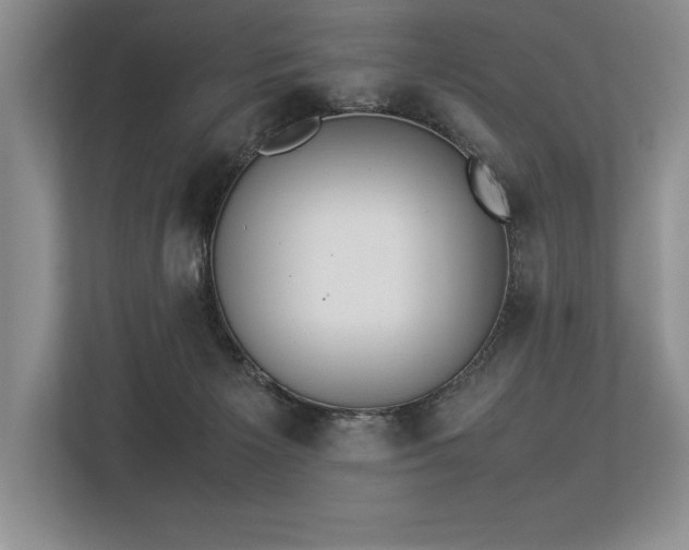 X0000113350125200909221152