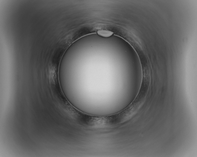 X0000113350127200909221152