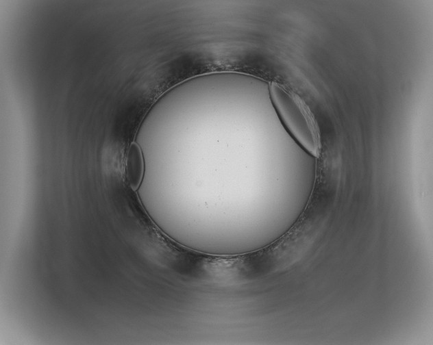 X0000113350129200909221152
