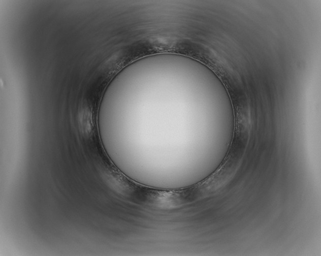 X0000113350130200909221152