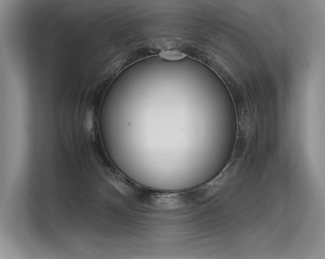 X0000113350132200909221152