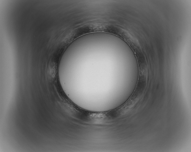 X0000113350133200909221151