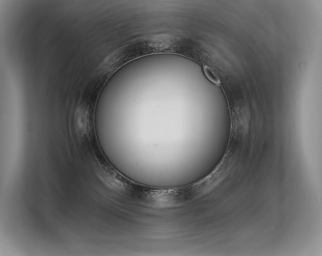 X0000113350136200909221151
