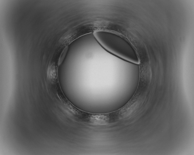 X0000113350137200909221151