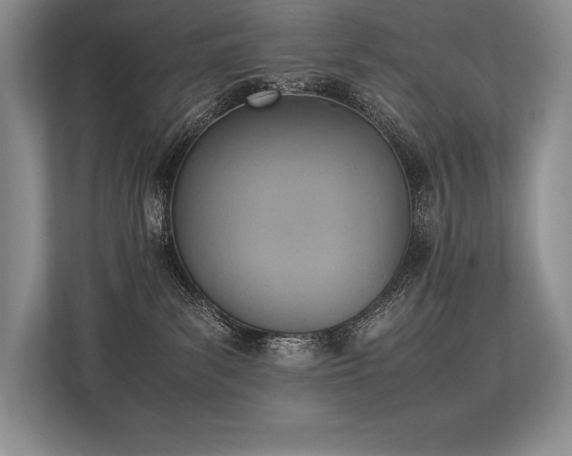 X0000113350139200909221151