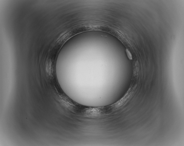 X0000113350140200909221151