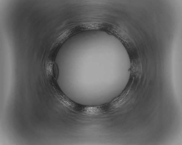 X0000113350141200909221151