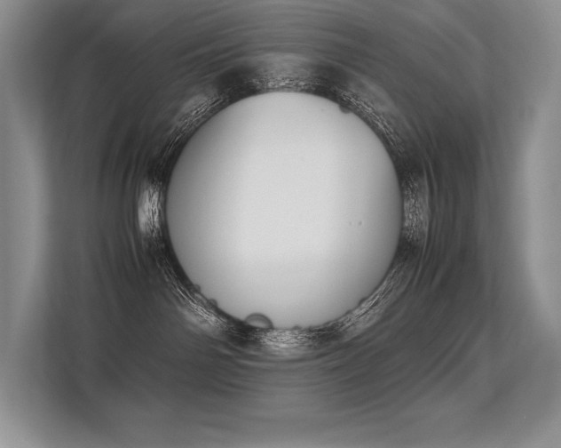 X0000113350142200909221151