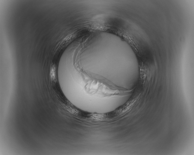 X0000113350143200909221151