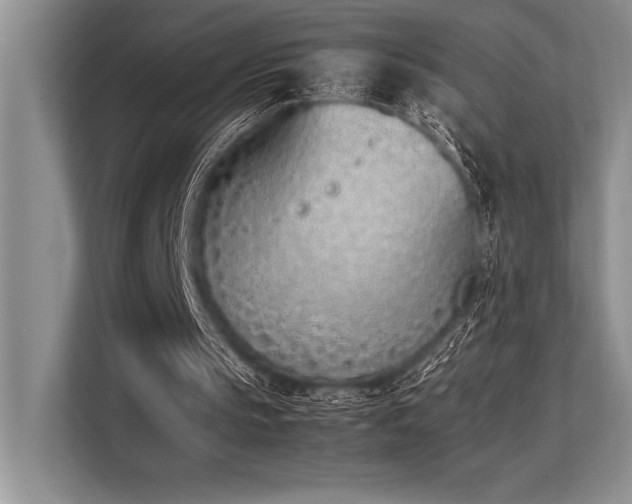 X0000113350145200909221151