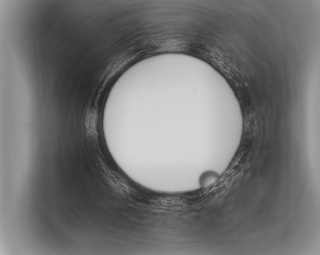 X0000113350146200909221151