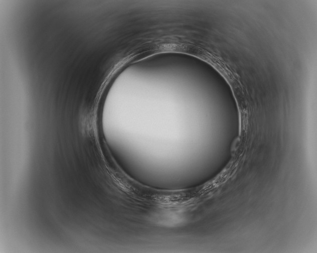 X0000113350147200909221151
