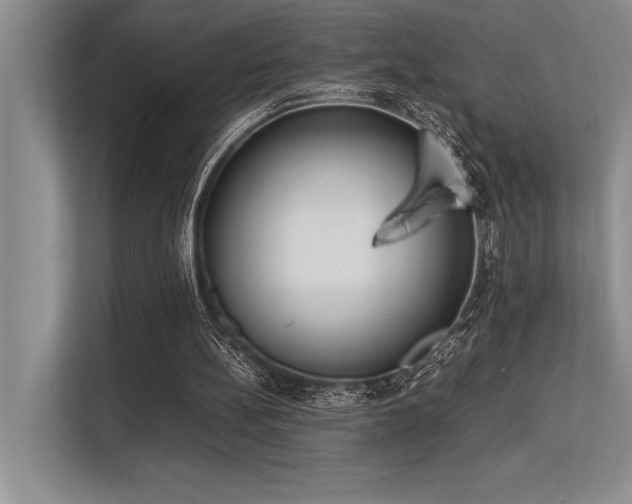X0000113350148200909221151