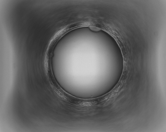 X0000113350149200909221151
