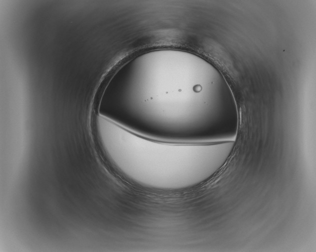 X0000113350156200909221151