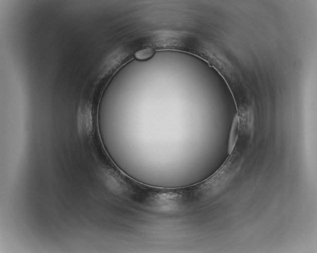 X0000113350158200909221151