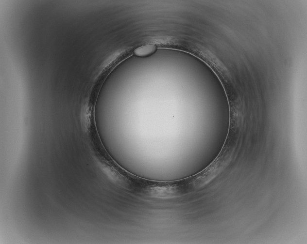 X0000113350160200909221151