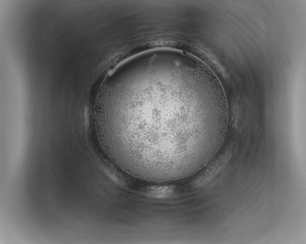 X0000113350161200909221151