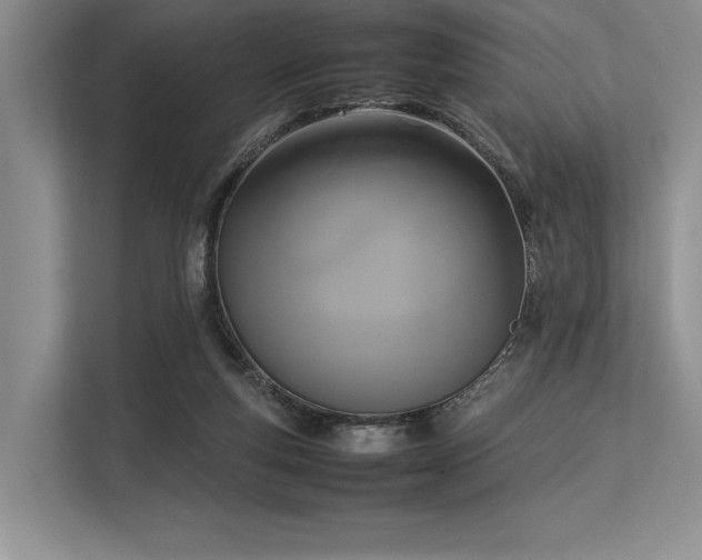 X0000113350163200909221151