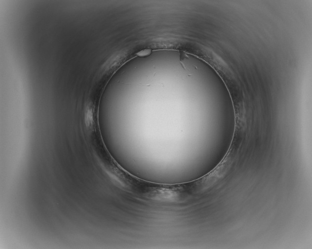 X0000113350166200909221151