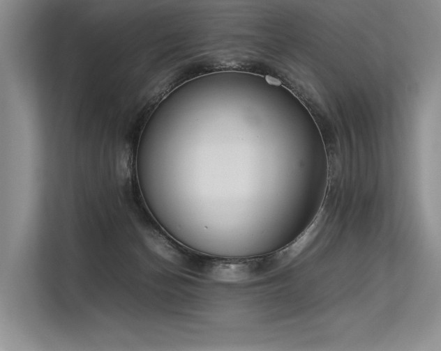 X0000113350174200909221151