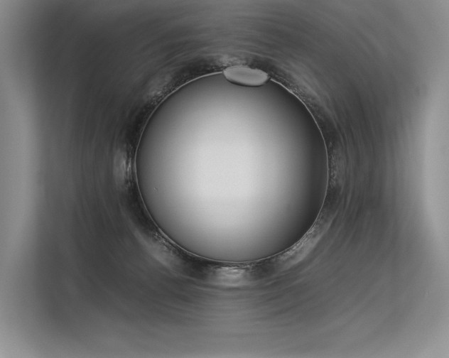 X0000113350176200909221151