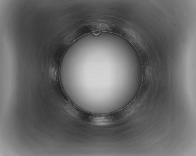 X0000113350177200909221151