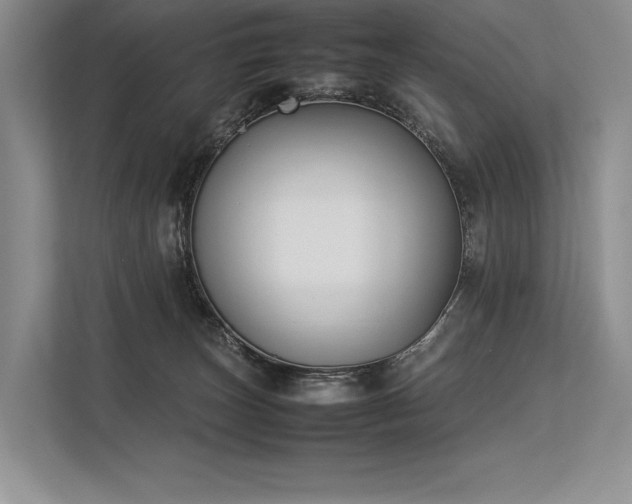 X0000113350179200909221151