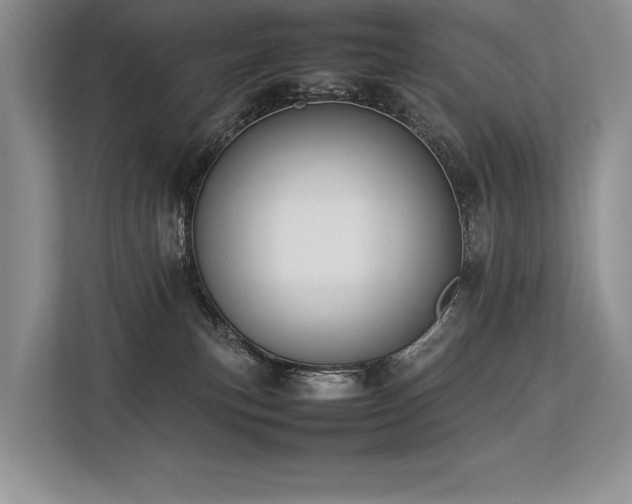 X0000113350183200909221151