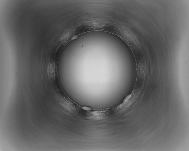 X0000113350184200909221151