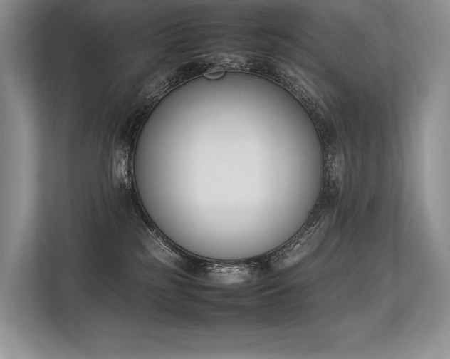 X0000113350185200909221151