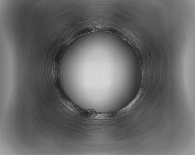 X0000113350186200909221151