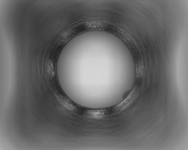X0000113350187200909221151