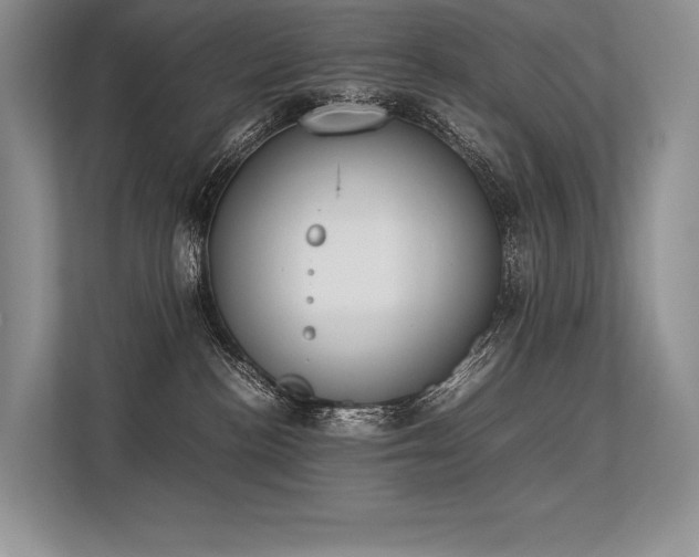 X0000113350188200909221151