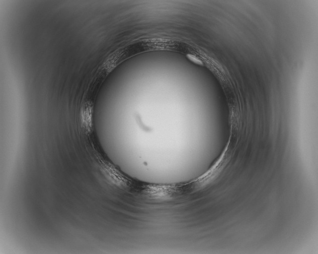 X0000113350190200909221151