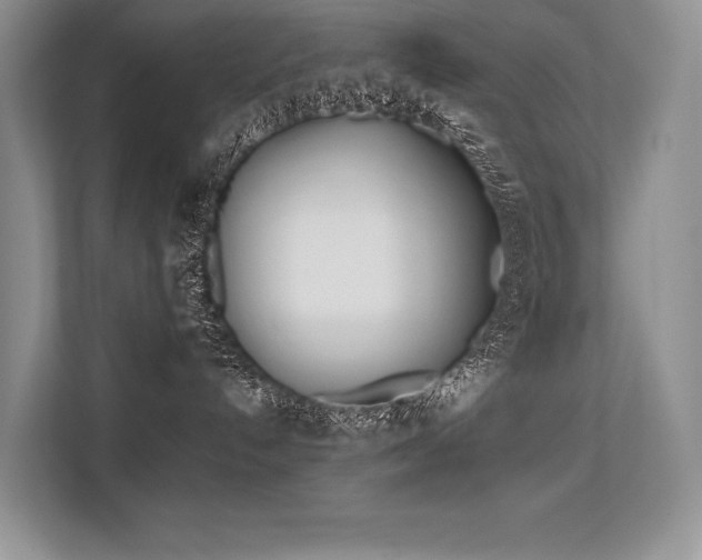 X0000113350192200909221151