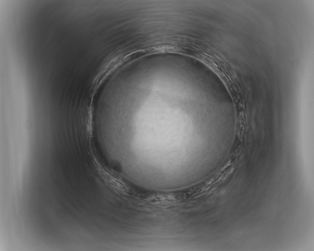 X0000113350194200909221151