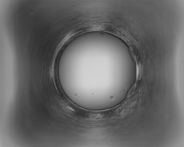 X0000113350195200909221151
