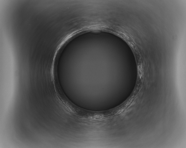 X0000113350196200909221151